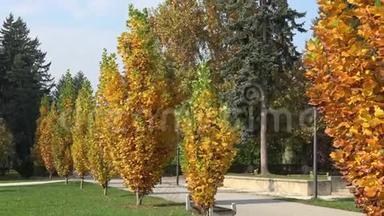 美丽的秋天<strong>公园</strong>。 秋天的<strong>树木</strong>和树叶。 秋天的风景。 秋天的<strong>公园</strong>